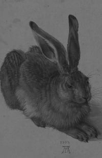 (yumi)(no)(MONOGURUI)(ii): (UGLY AS (0000))