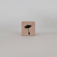 Image 1 of Mini tampon pissenlit 