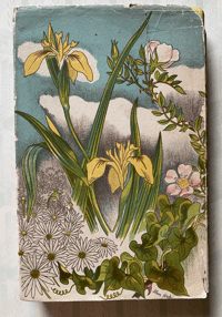 Image 4 of Wild Flowers in Britain Robert Gathorne-Hardy