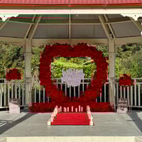 Image 3 of Romantic Proposal Setup