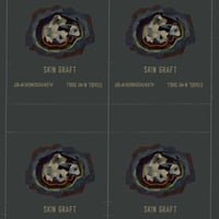 Image 2 of SKIN GRAFT: CITADEL IN MY SKULL