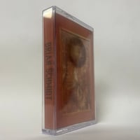 Image 1 of BRIAN SCHMIDT: BRIAN SCHMIDT