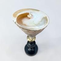 Image 9 of Coquillage cône en nacre Troca sur socle en bois Napoléon III fin XIXe -  Cabinet de curiosités 