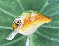 Image 1 of Custom Airbrushed S-CRANK 1.5 Squarebill Crankbait  7694