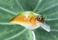 Image 3 of Custom Airbrushed S-CRANK 1.5 Squarebill Crankbait  7694