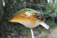 Image 4 of Custom Airbrushed S-CRANK 1.5 Squarebill Crankbait  7694