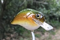 Image 5 of Custom Airbrushed S-CRANK 1.5 Squarebill Crankbait  7694