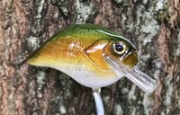 Image 7 of Custom Airbrushed S-CRANK 1.5 Squarebill Crankbait  7694