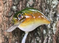 Image 8 of Custom Airbrushed S-CRANK 1.5 Squarebill Crankbait  7694