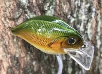 Image 9 of Custom Airbrushed S-CRANK 1.5 Squarebill Crankbait  7694