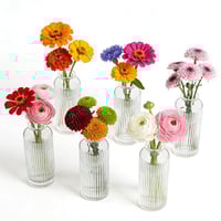 Image 5 of 6-Pack Clear Glass Bud Vases – Small Flower Vases for Table, Home, &amp; Wedding Decor
