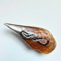 Image 1 of Grande vide-poche nacre sauvage naturel type huître géante Pinna Nobilis - 1970s