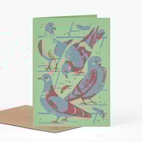 Image 1 of Pigeons greetings card