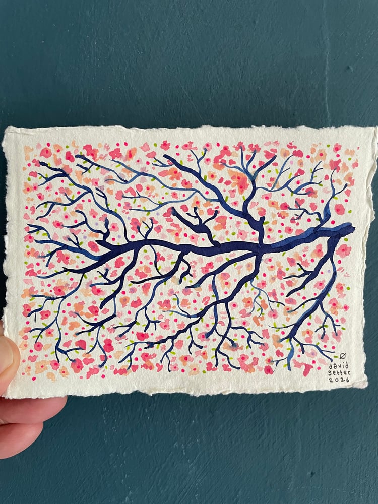 Image of Blossom landscape 