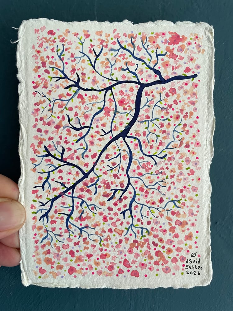 Image of Blossom portrait 