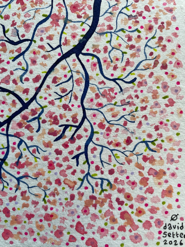 Image of Blossom portrait 