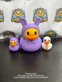 Image 3 of Mini Duckies!