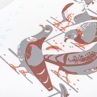 Image 3 of Pigeons ltd edition silkscreen print 