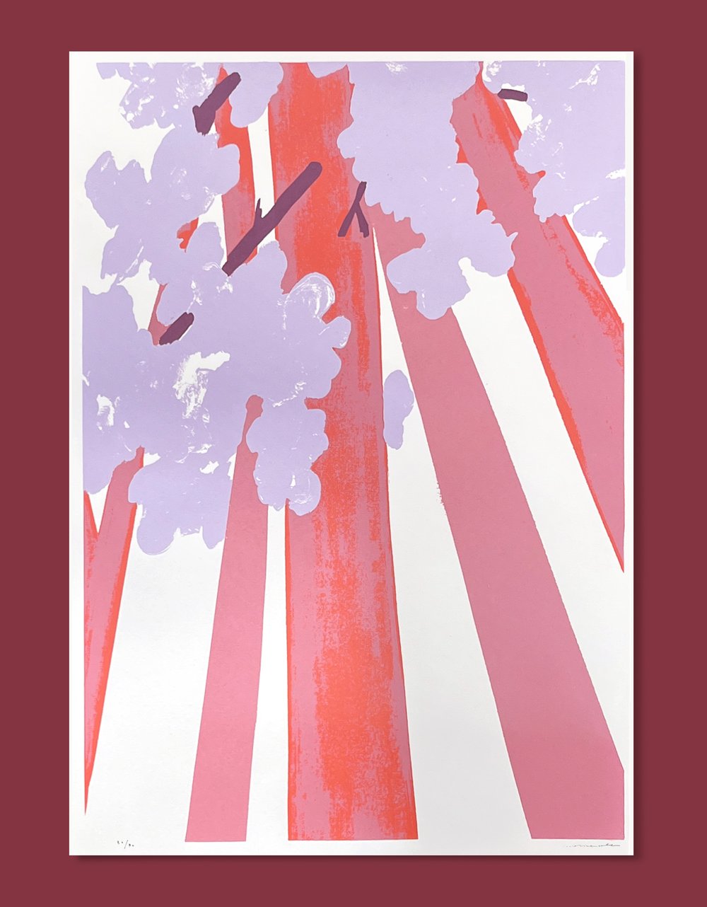 Image of Jacarandás, Carolina Celas