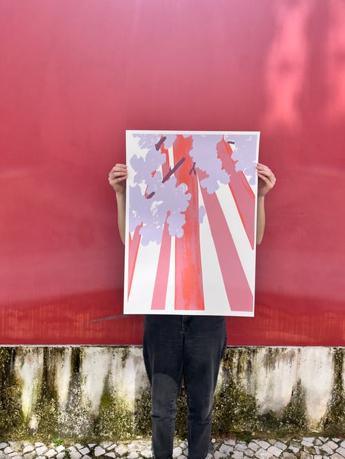 Image of Jacarandás, Carolina Celas