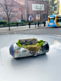 Image 7 of Pipe Dreams 