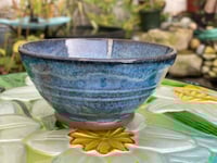 Image 1 of No6 Winter Joy Bowl