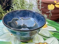 Image 1 of No5 Winter Joy Bowl