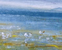 Image 2 of Spring Paddling (6 Pack)