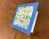 Image 3 of Pink Roses Fresh Cards (6 Pack)