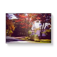 Image 1 of White House Beneath a Maple Tree