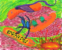 Nicole Schonitzer || ray current, 2024