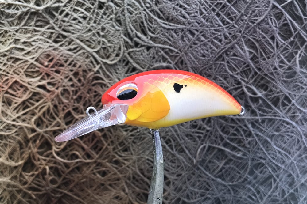 SPEEDBAITS Custom Airbrushed Crankbait 3756