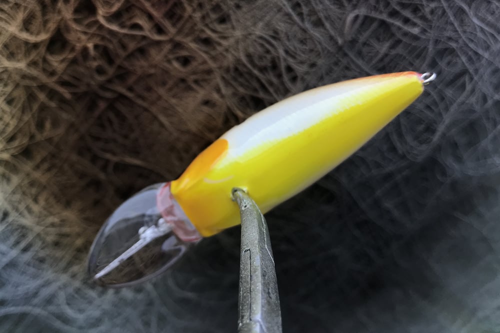 SPEEDBAITS Custom Airbrushed Crankbait 3756 - Image 3