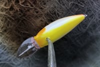 Image 3 of SPEEDBAITS Custom Airbrushed Crankbait 3756