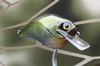 Image 2 of Custom Airbrushed S-CRANK 1.5 Squarebill Crankbait 2818