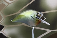 Image 3 of Custom Airbrushed S-CRANK 1.5 Squarebill Crankbait 2818