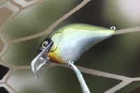 Image 4 of Custom Airbrushed S-CRANK 1.5 Squarebill Crankbait 2818