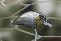 Image 3 of Custom Airbrushed S-CRANK 1.5 Squarebill Crankbait 2866