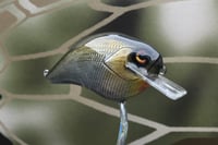 Image 2 of Custom Airbrushed S-CRANK 1.5 Squarebill Crankbait 2866