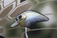 Image 5 of Custom Airbrushed S-CRANK 1.5 Squarebill Crankbait 2866