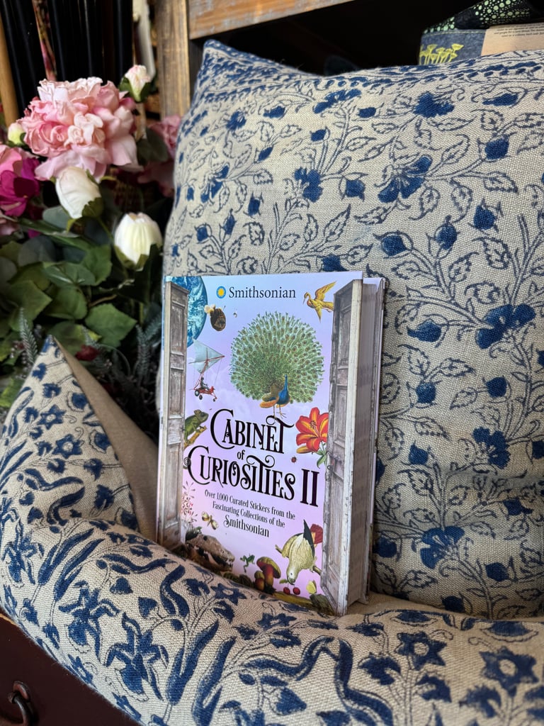 Cabinet of Curiosities II  Image 2