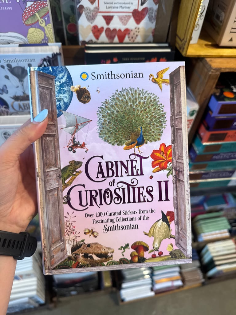 Cabinet of Curiosities II  Image 3