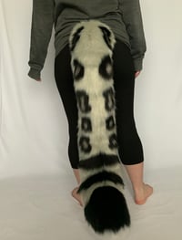 Image 3 of Giant Snow Leopard tail with optional ears