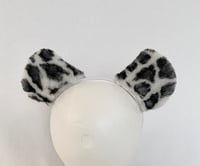 Image 5 of Giant Snow Leopard tail with optional ears