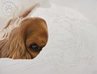 Image 3 of Cavalier King Charles Spaniel - Original Pastel Pencil Dog Portrait