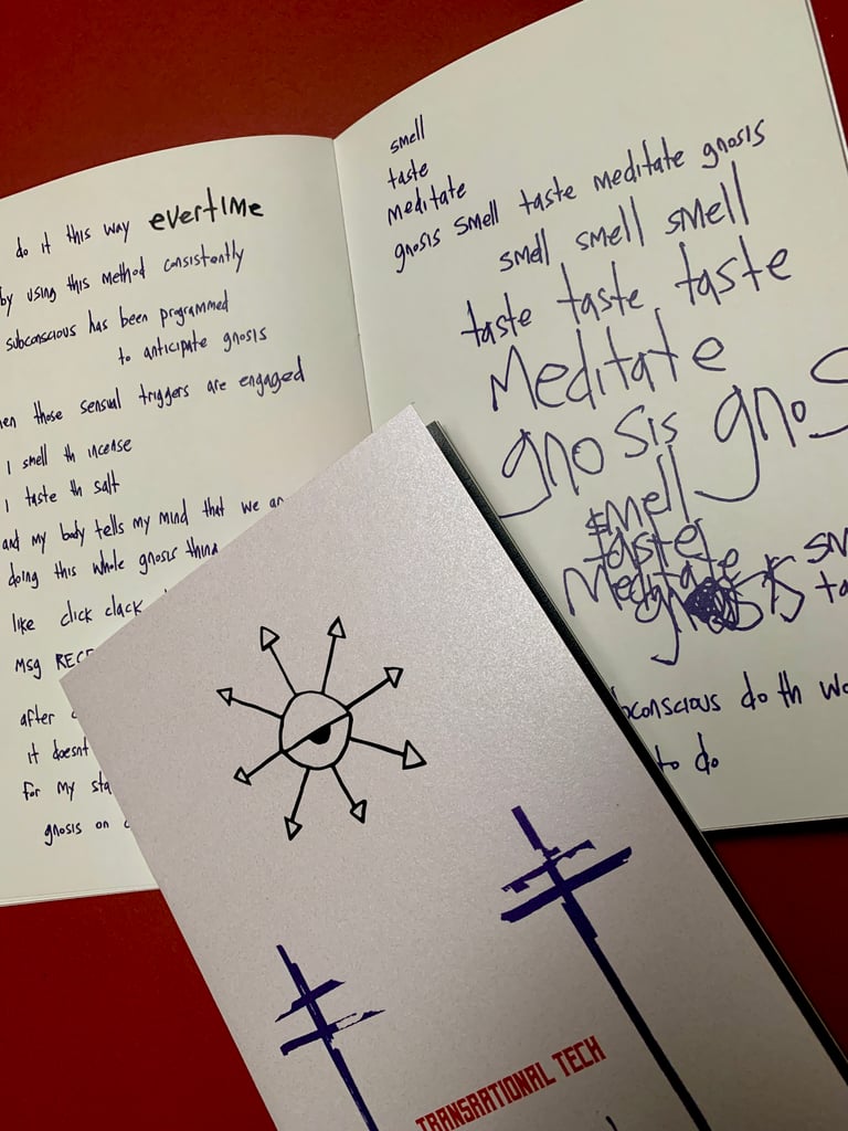 Shortcut to Gnosis : zine : Transrational Tech Vol.3 Image 3