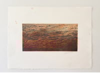 Image 1 of Study 24-23