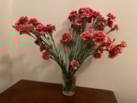 MONOGURUI (pre-close)-binding: (PARTIES, PARANOIA, VIOLENCE)