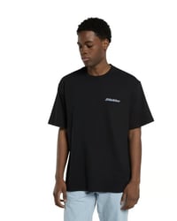 Image 2 of Camiseta Dickies Thornville negra