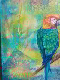 Image 11 of Guardian of the Jungle